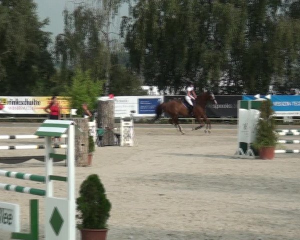 Reitturnier Monheim - Gut Blee 2020