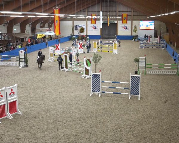 Reitturnier Sögel 2021