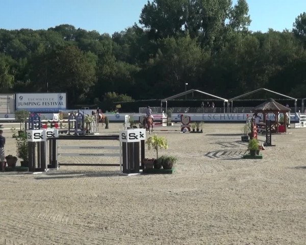 FEI Reitturnier Eschweiler (GER) 2020
