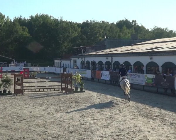 FEI Reitturnier Eschweiler (GER) 2020