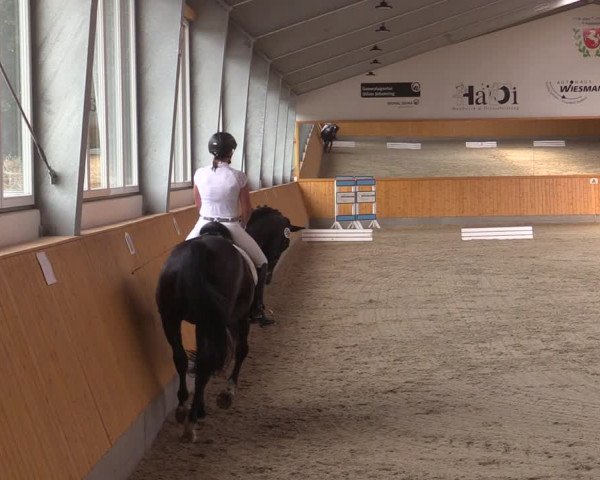 Reitturnier Münster-Amelsbüren 2020