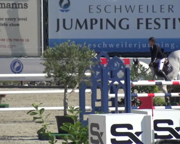FEI Reitturnier Eschweiler (GER) 2020