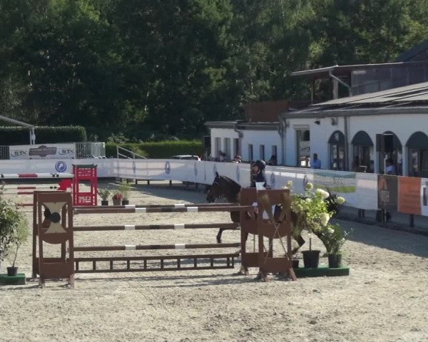 FEI Reitturnier Eschweiler (GER) 2020