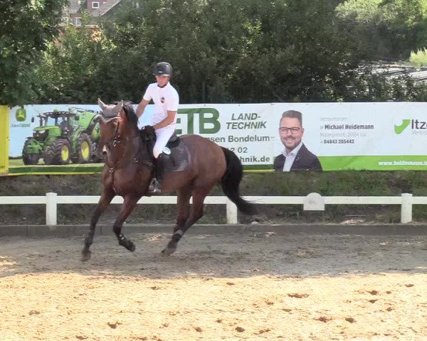 Reitturnier Behrendorf 2020