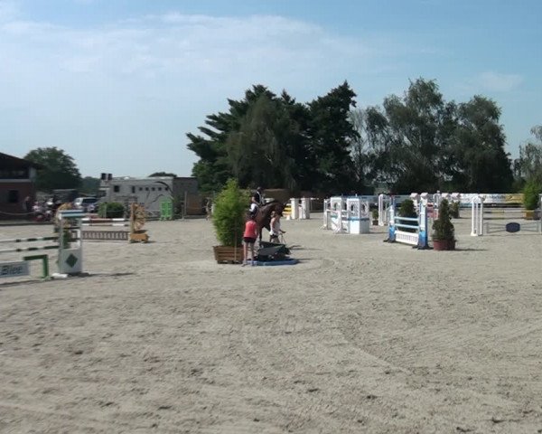 Reitturnier Monheim - Gut Blee 2020