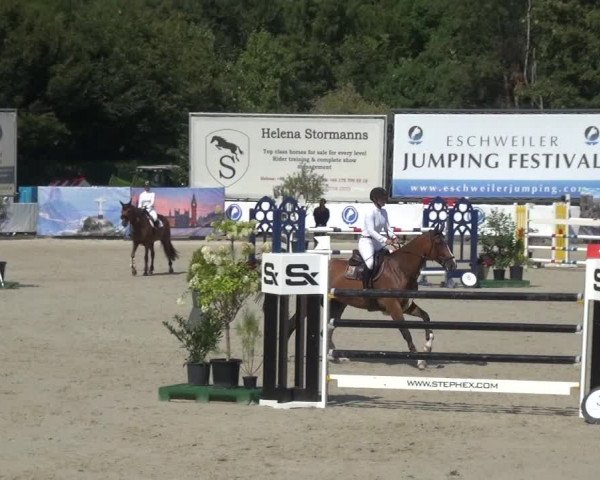 FEI Reitturnier Eschweiler (GER) 2020