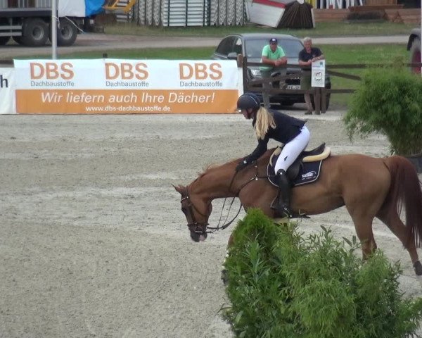 Reitturnier Westergellersen 2020