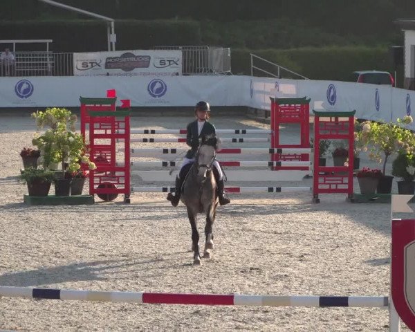 FEI Reitturnier Eschweiler (GER) 2020