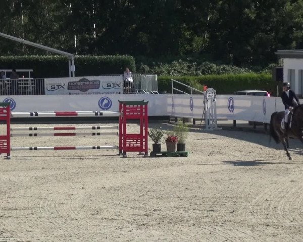 FEI Reitturnier Eschweiler (GER) 2020