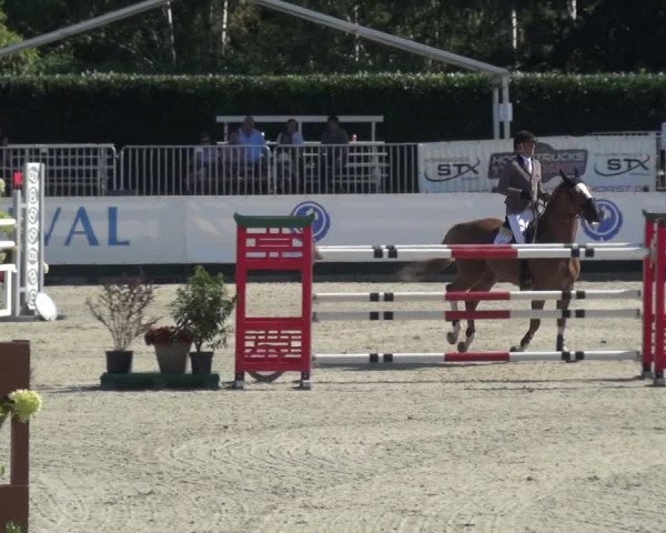 FEI Reitturnier Eschweiler (GER) 2020