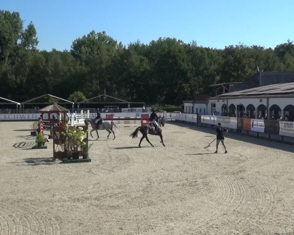 FEI Reitturnier Eschweiler (GER) 2020
