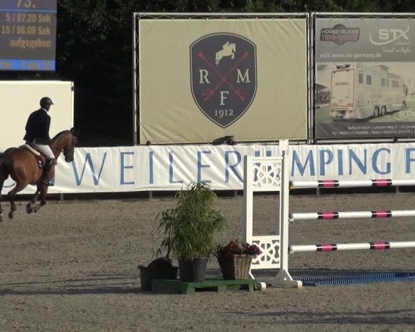 FEI Reitturnier Eschweiler (GER) 2020