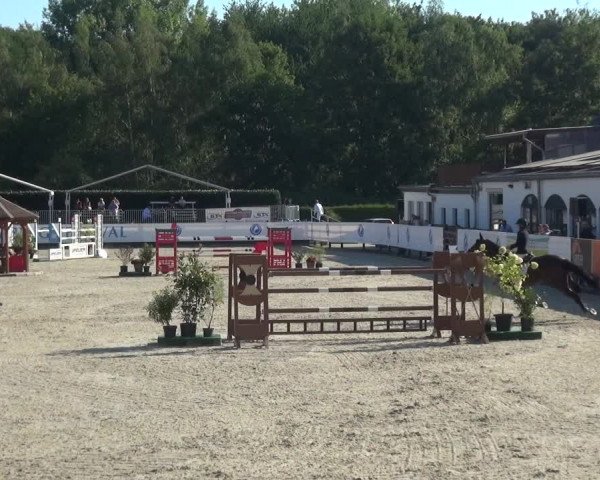 FEI Reitturnier Eschweiler (GER) 2020