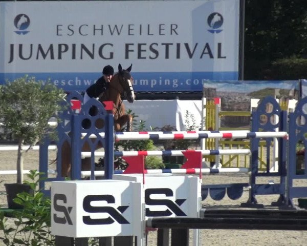FEI Reitturnier Eschweiler (GER) 2020