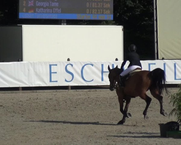 FEI Reitturnier Eschweiler (GER) 2020