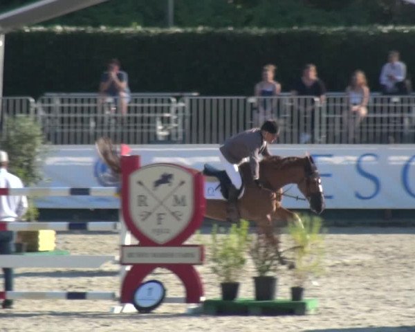 FEI Reitturnier Eschweiler (GER) 2020
