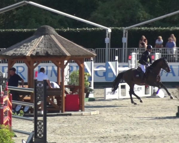 FEI Reitturnier Eschweiler (GER) 2020