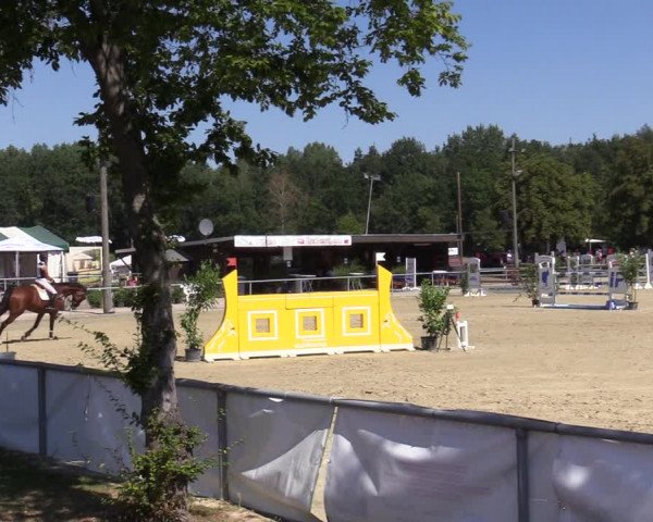 Reitturnier Olfen-Vinnum 2020