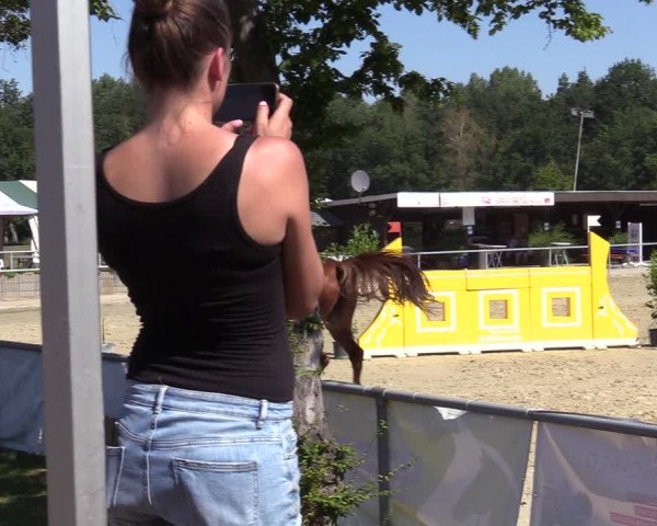 Reitturnier Olfen-Vinnum 2020