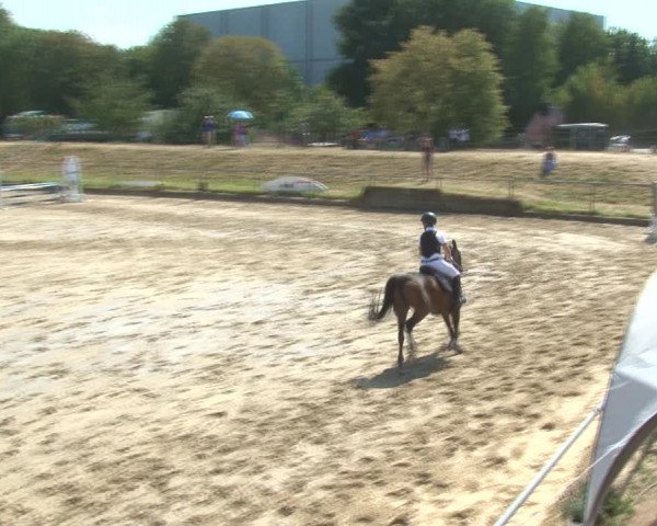 Reitturnier Kirchhoven-Vinn 2020
