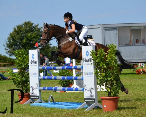 jumper Locomotion 10 (Holsteiner, 2004, from Landos)