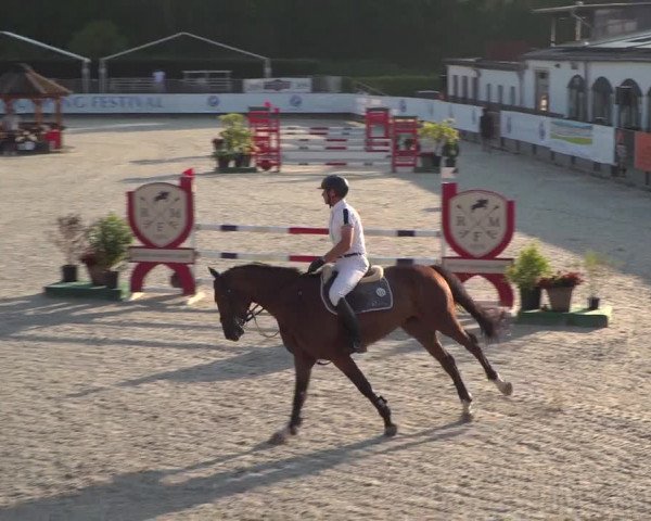 FEI Reitturnier Eschweiler (GER) 2020