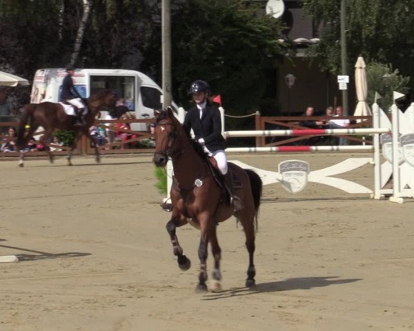 Equus Colonius - Reitanlage Brüse Köln 2021
