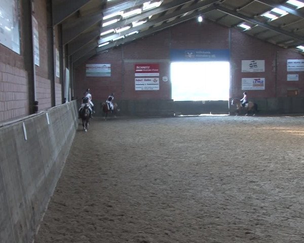 Reitturnier Kirchhoven-Vinn 2020
