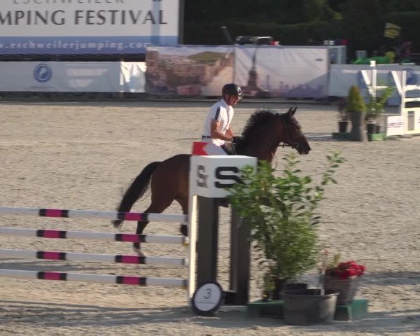 FEI Reitturnier Eschweiler (GER) 2020