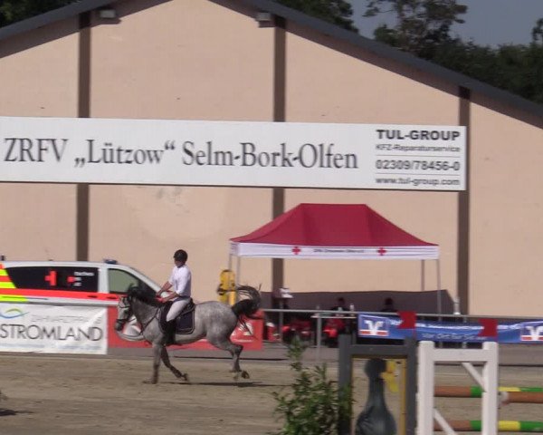 Reitturnier Olfen-Vinnum 2020