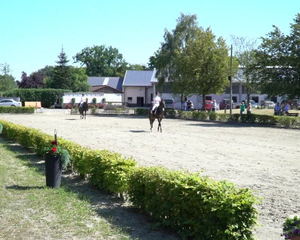 Reitturnier Olfen-Vinnum 2020