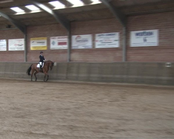 Reitturnier Kirchhoven-Vinn 2020