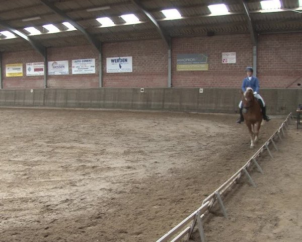 Reitturnier Kirchhoven-Vinn 2020