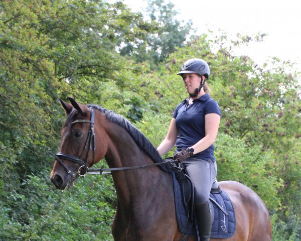 dressage horse Flor de La Vida (Westphalian, 2016, from For Romance I)