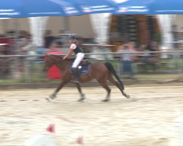 Reitturnier Kirchhoven-Vinn 2020