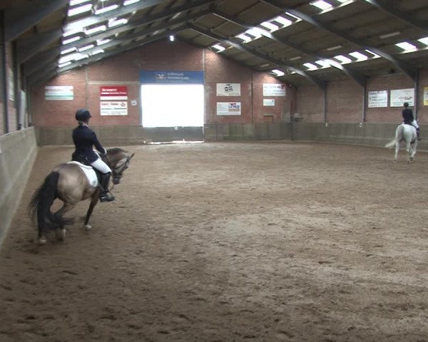 Reitturnier Kirchhoven-Vinn 2020