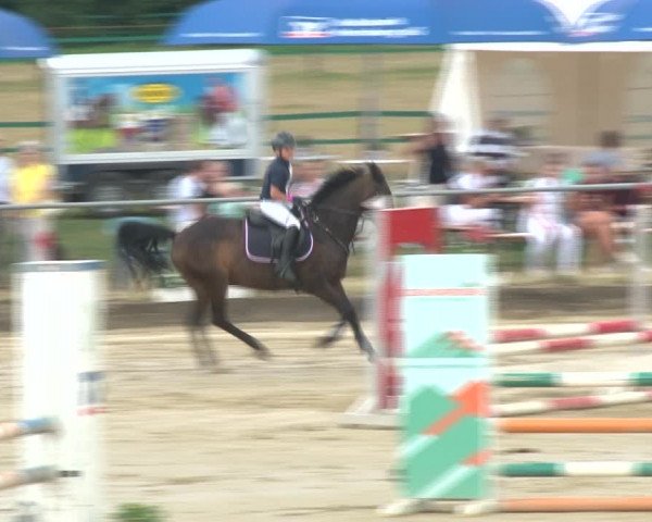 Reitturnier Kirchhoven-Vinn 2020