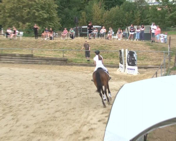 Reitturnier Kirchhoven-Vinn 2020
