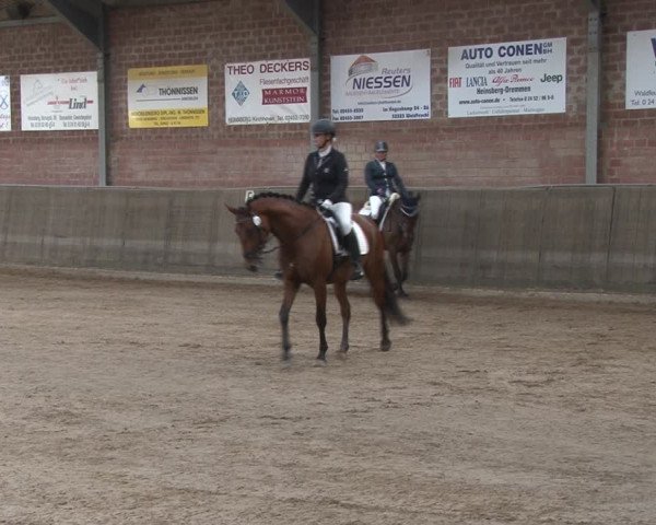 Reitturnier Kirchhoven-Vinn 2020
