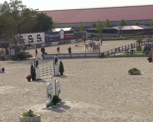 Gold +Cyclus Jonge Paarden in Lier (BEL) 2020