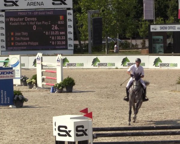 Gold +Cyclus Jonge Paarden in Lier (BEL) 2020