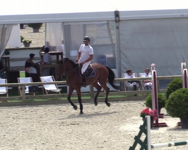 Gold +Cyclus Jonge Paarden in Lier (BEL) 2020