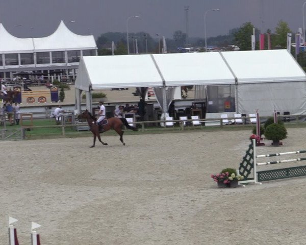 Gold +Cyclus Jonge Paarden in Lier (BEL) 2020