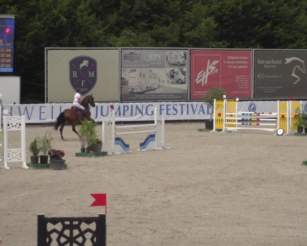 FEI Reitturnier Eschweiler (GER) 2020