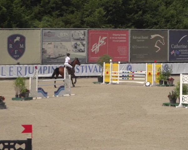 FEI Reitturnier Eschweiler (GER) 2020