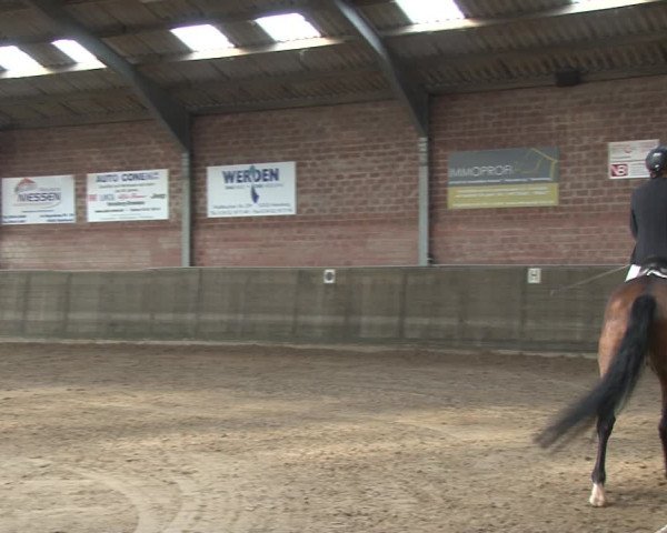 Reitturnier Kirchhoven-Vinn 2020