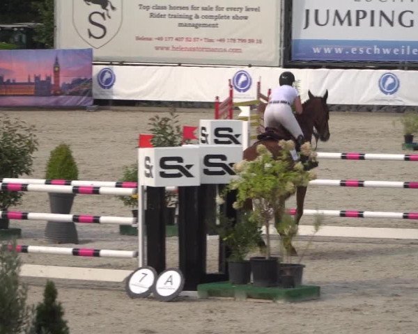 FEI Reitturnier Eschweiler (GER) 2020