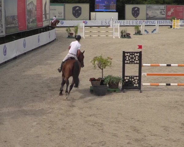 FEI Reitturnier Eschweiler (GER) 2020