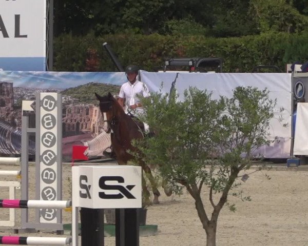 FEI Reitturnier Eschweiler (GER) 2020