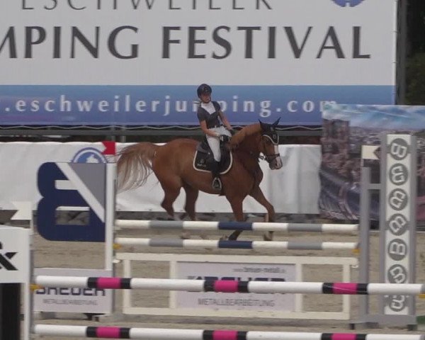 FEI Reitturnier Eschweiler (GER) 2020
